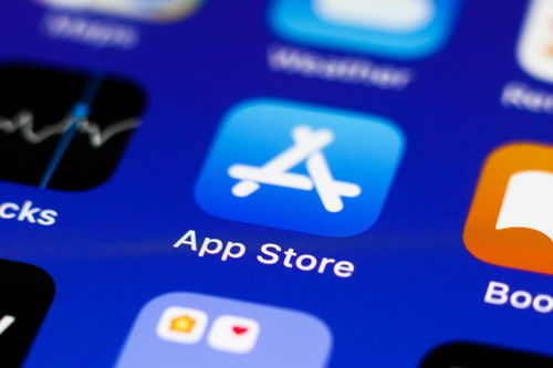 小飞机聊天软件app下载苹果(小飞机聊天软件app下载苹果手机)