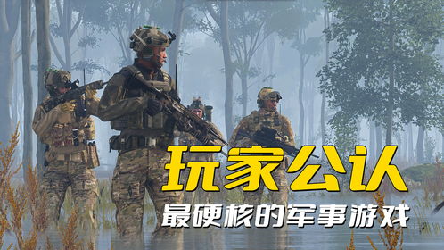 军事迷彩派对游戏攻略视频(军事迷彩壁纸)
