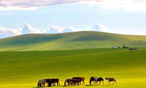 内蒙古好玩的景点排名榜(内蒙古旅游最佳路线)