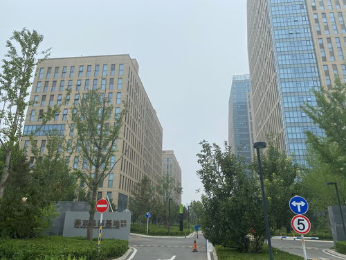北京总部基地属于哪个社区(北京总部基地属于哪个社区管)