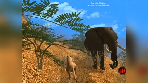 大象和人生游戏大战攻略(大象和人对比图)