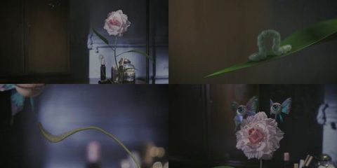 鲜花装饰房间游戏攻略视频(鲜花装饰房间图片)