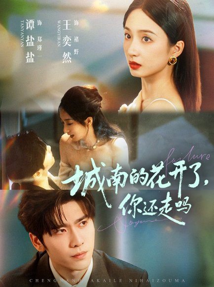 城南的花开了，你还走吗（84集）王奕然＆谭盐盐 高清完整版